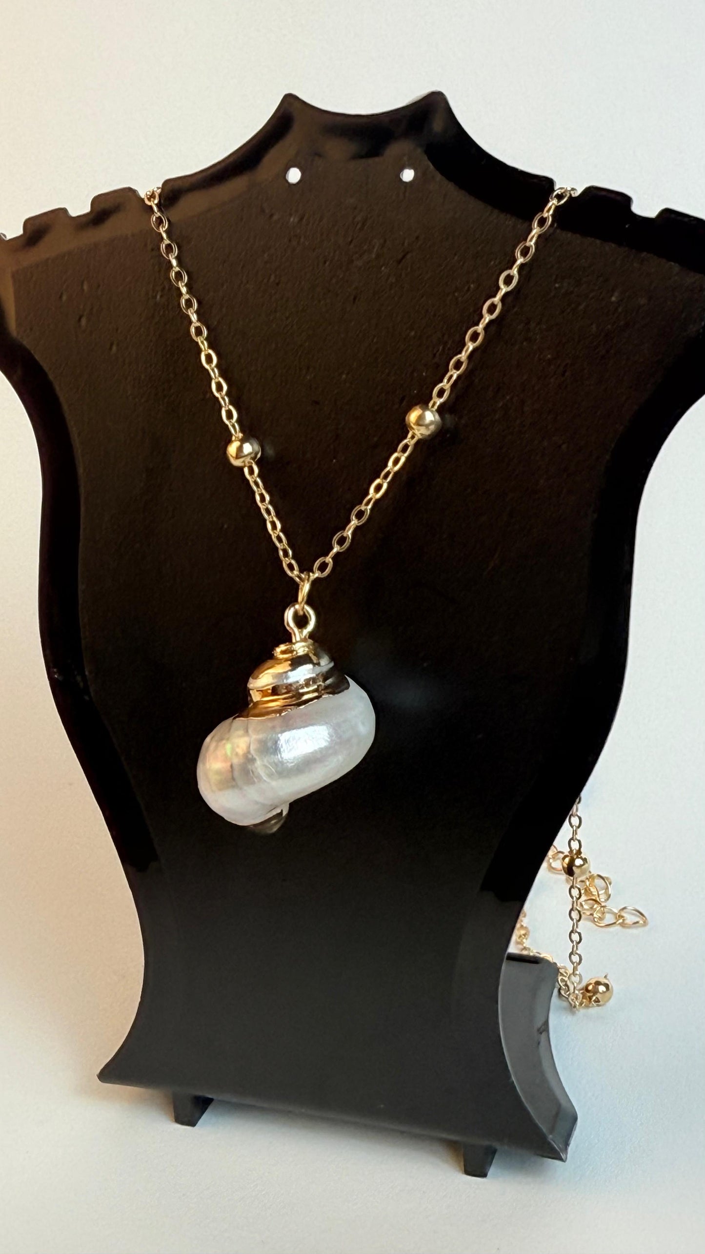 White Medium sized Natural Shell necklace