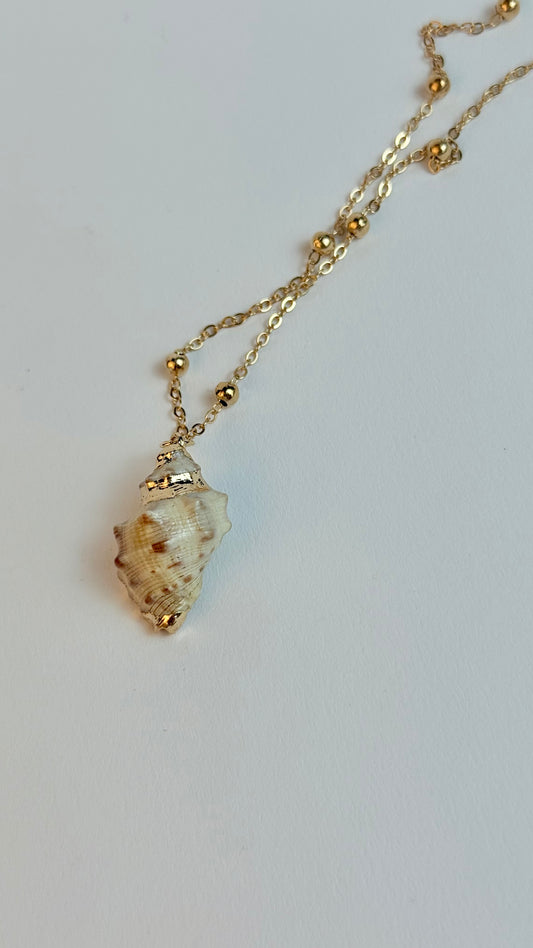 Gold necklace with a shell pendant on a light gray background