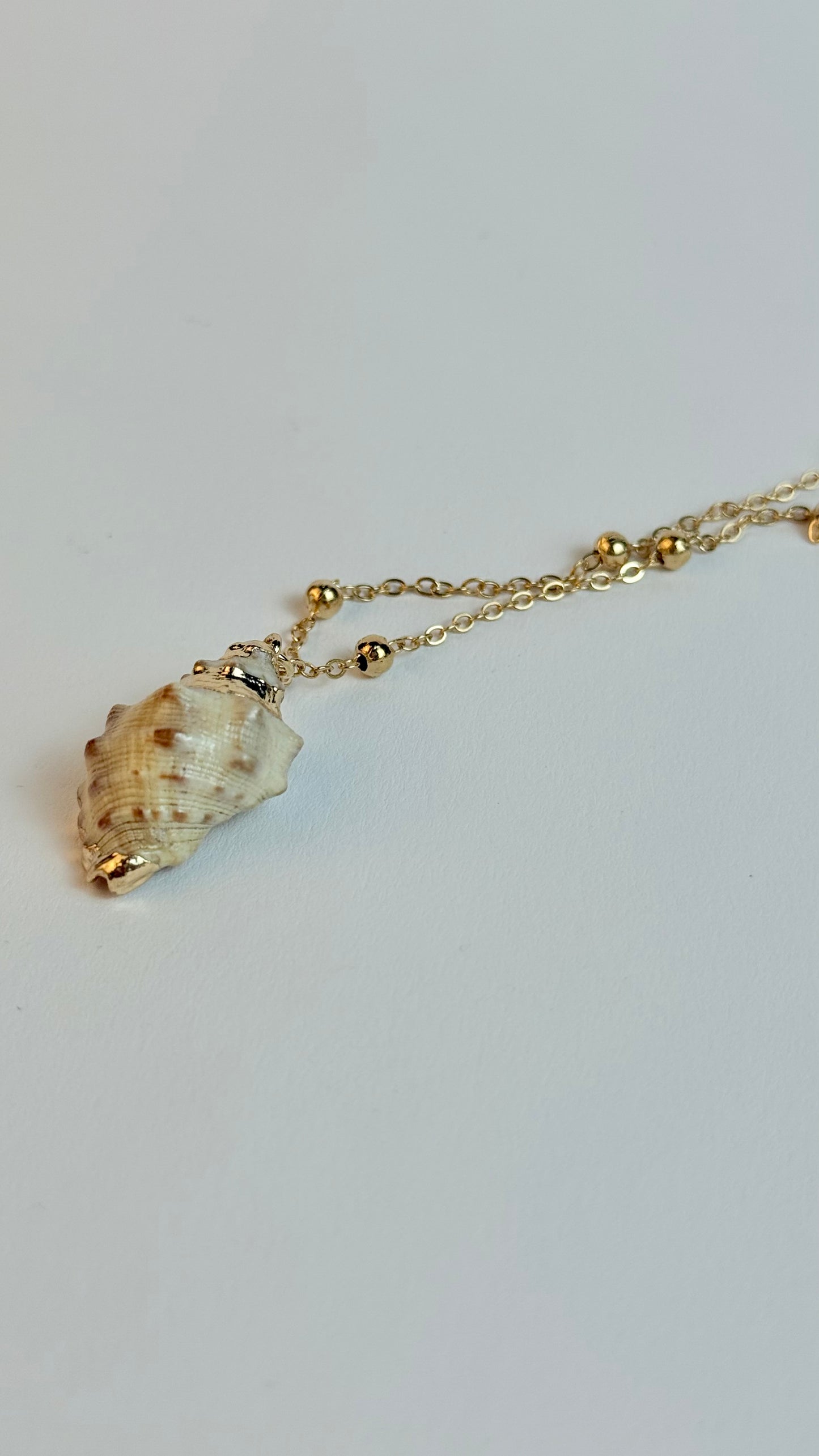 Necklace with a shell pendant on a light gray background