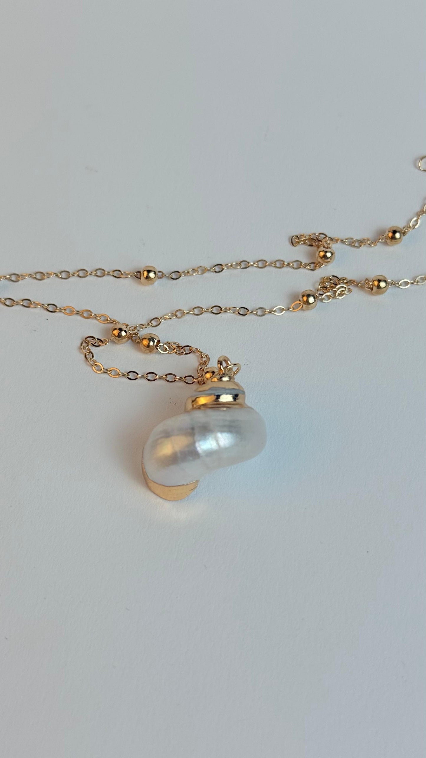 White Medium sized Natural Shell necklace