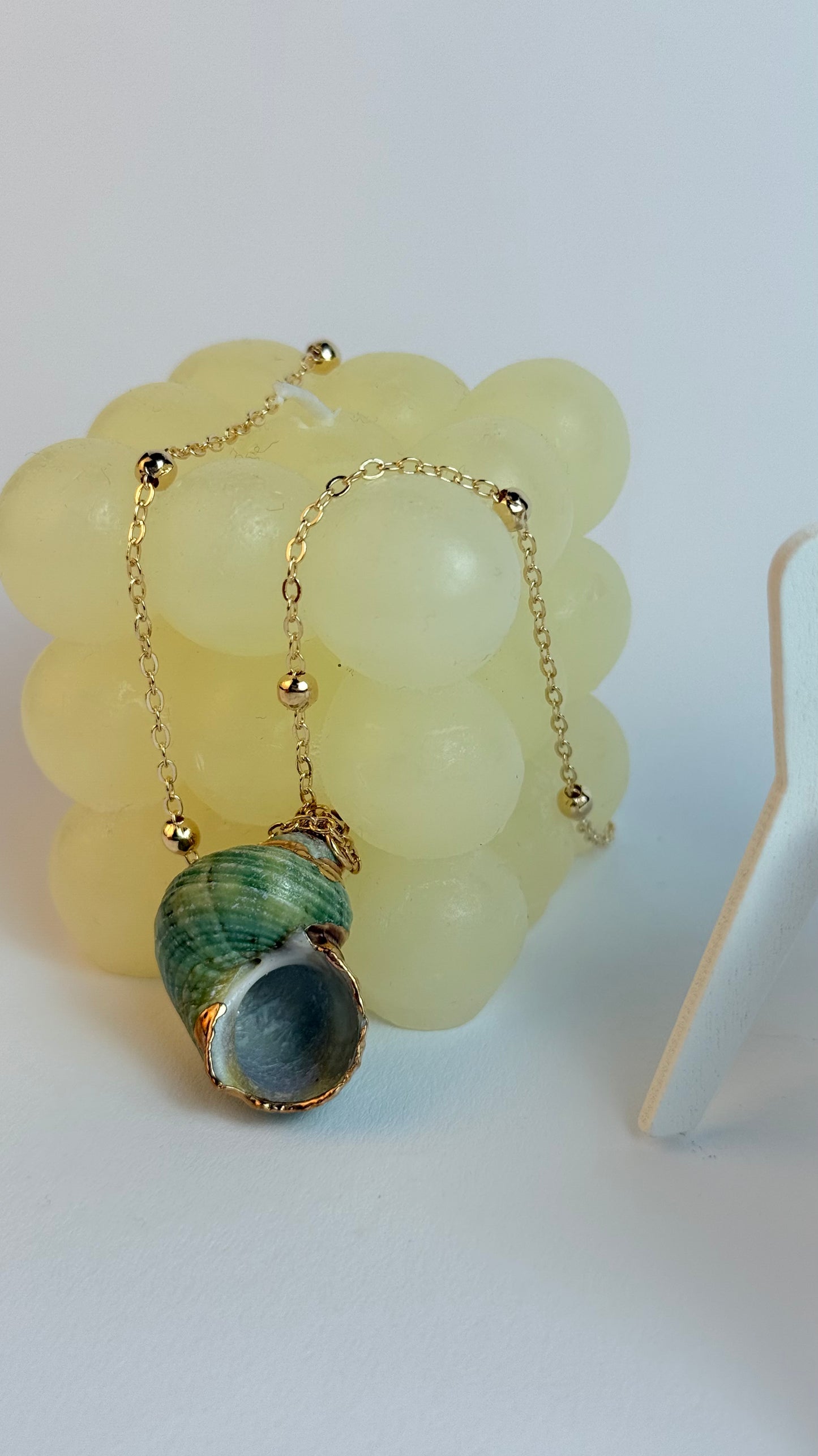 Necklace with a shell pendant on a white background
