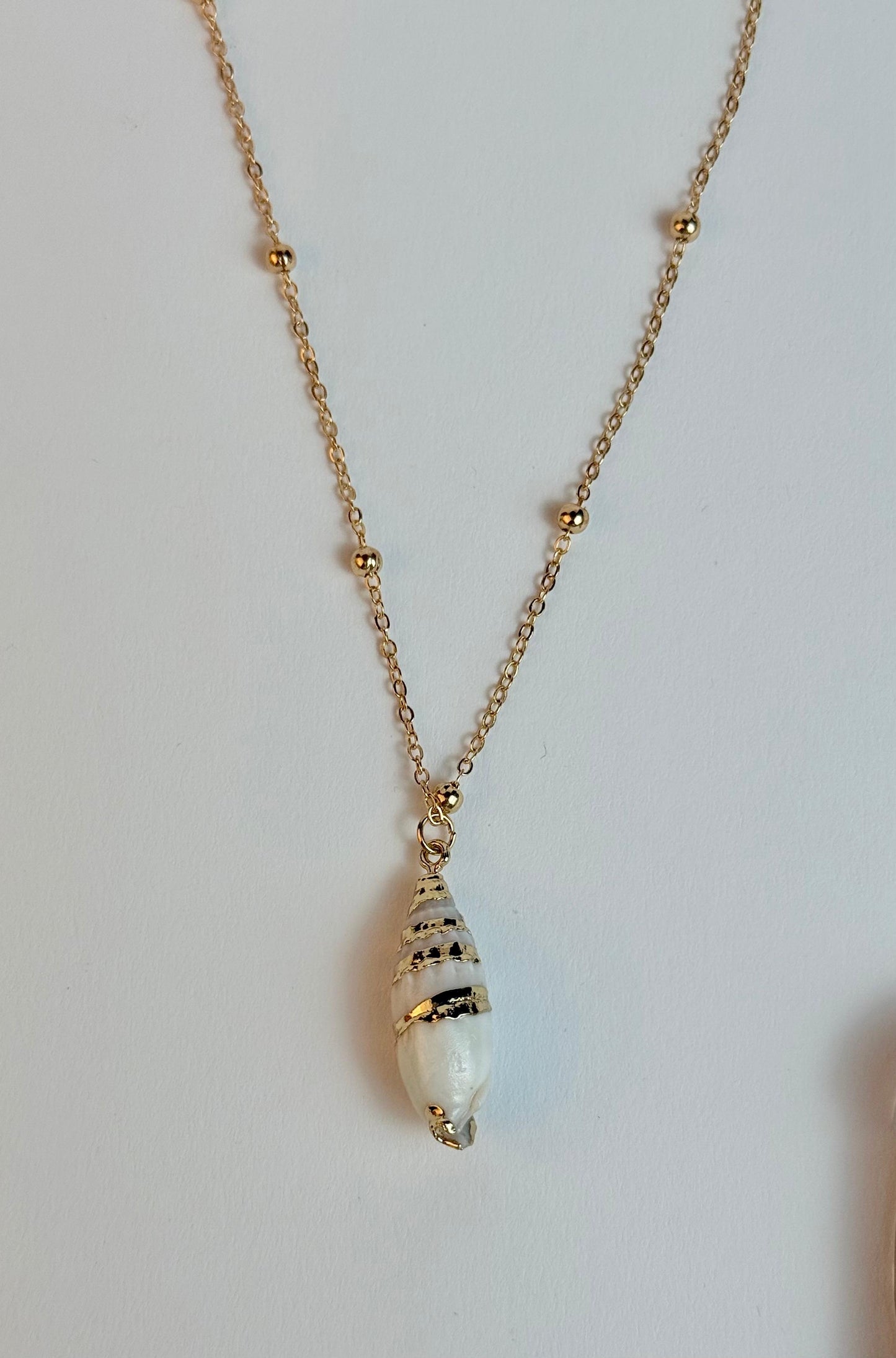 Sea Shell necklace, minimal shell, Gold Plated Shell necklace