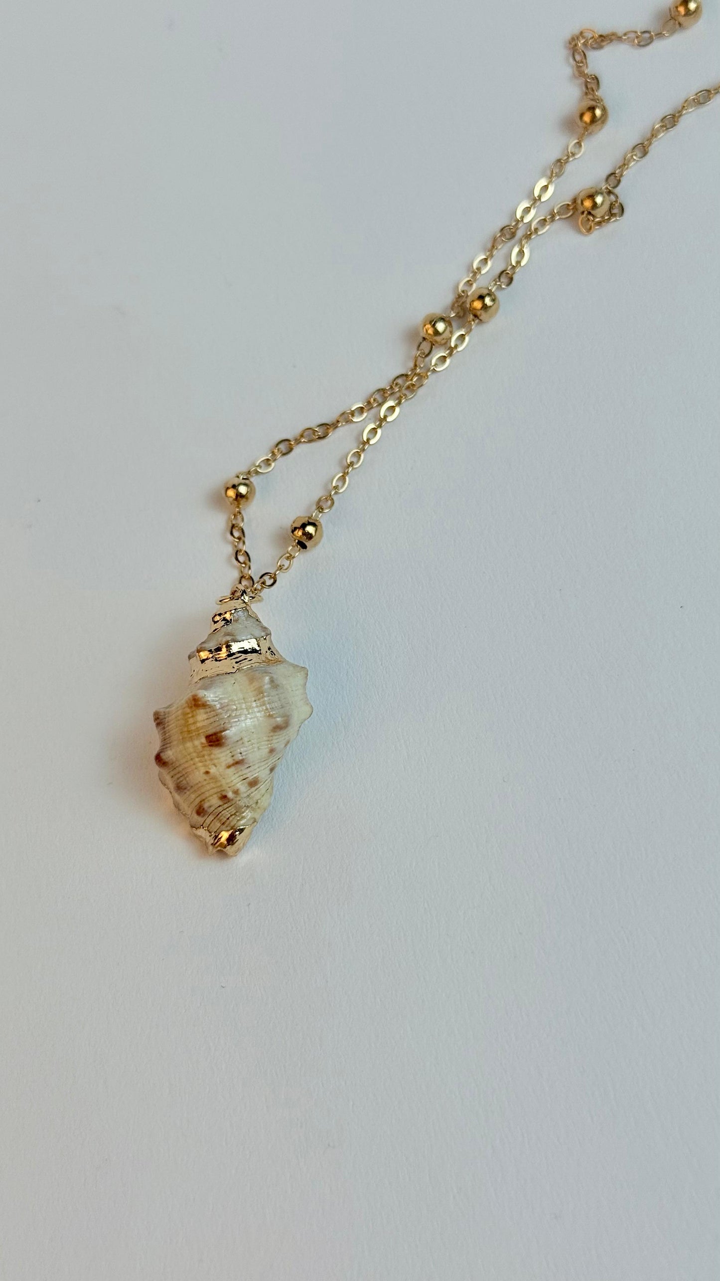 Sea Shell necklace, minimal shell, Gold Plated Shell necklace