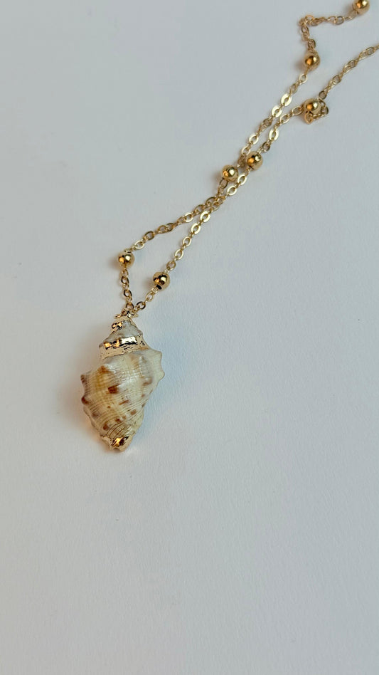 Sea Shell necklace, minimal shell, Gold Plated Shell necklace